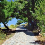 The main footpath from Hydra to local villages
