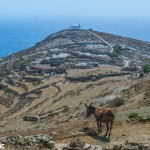 Boil in the bag cyclades; a donkey, a church and the sea.